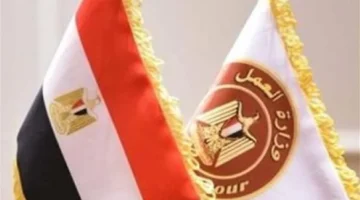 حصاد إجازات 2025: توزيع العطلات الرسمية وأثرها على أيام الأسبوع في نوفمبر